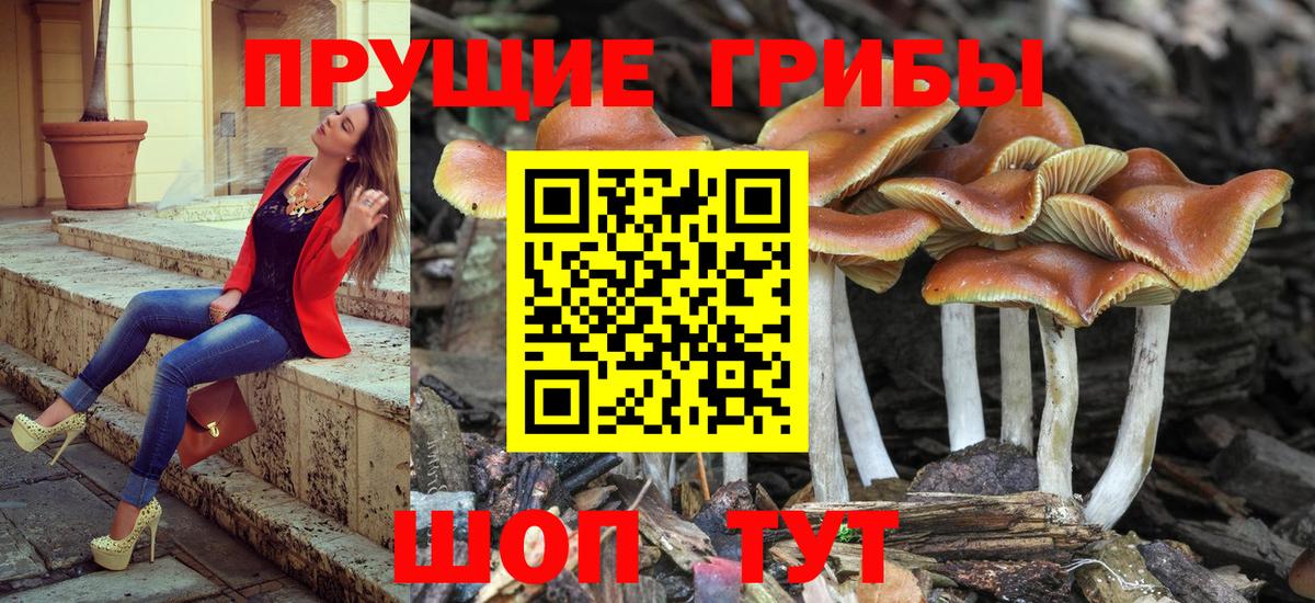 Шарыпово  Псилоцибиновые грибы Magic Shrooms  Вход с VPN 