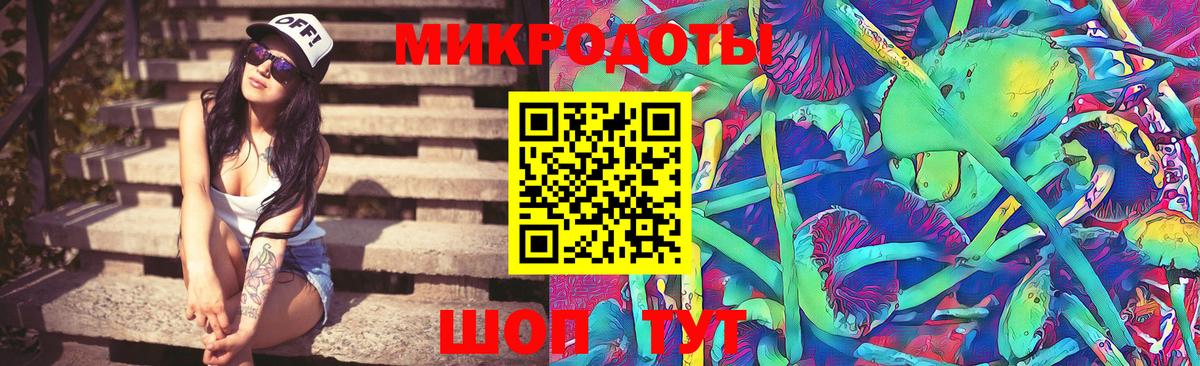 Галлюциногенные грибы Psilocybine cubensis Шарыпово